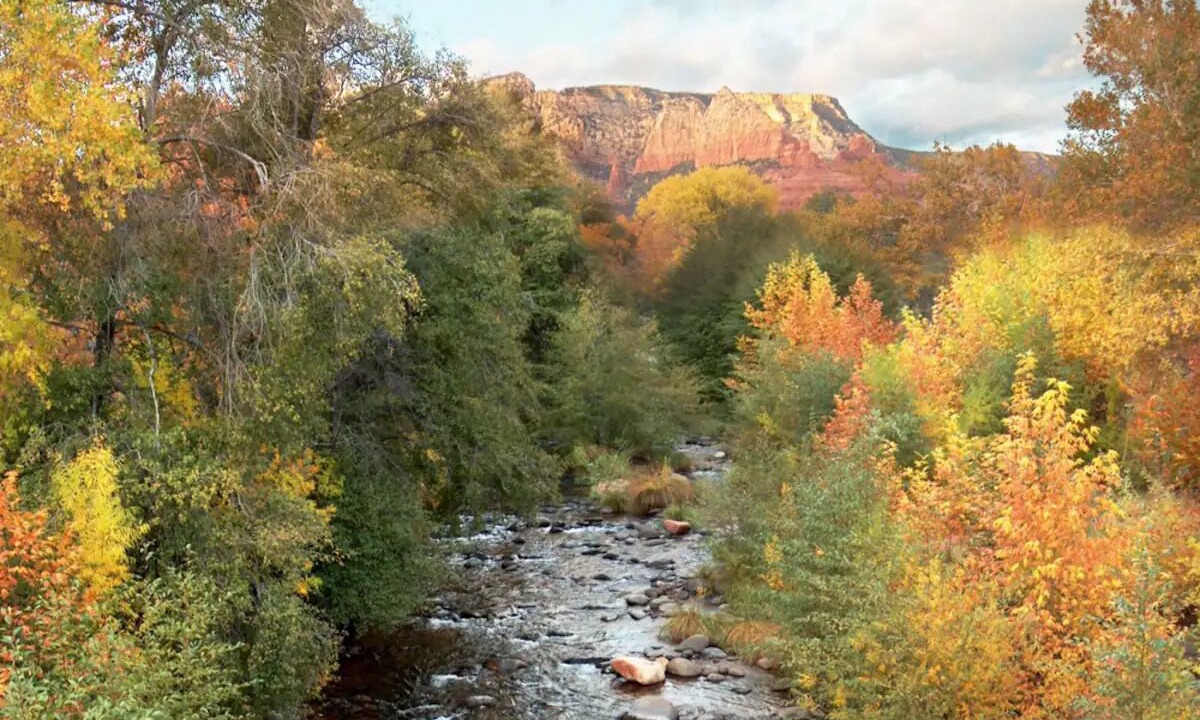 Photo of Others in Sedona