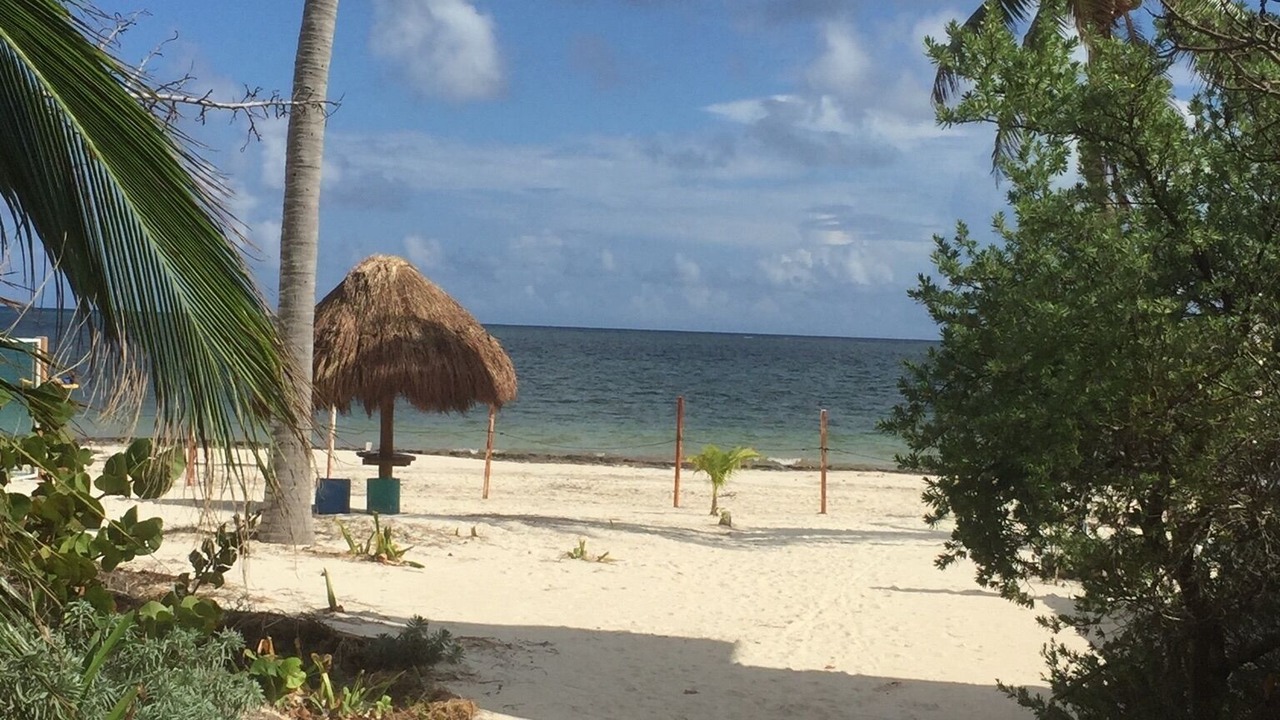 Photo of Others in Puerto Morelos