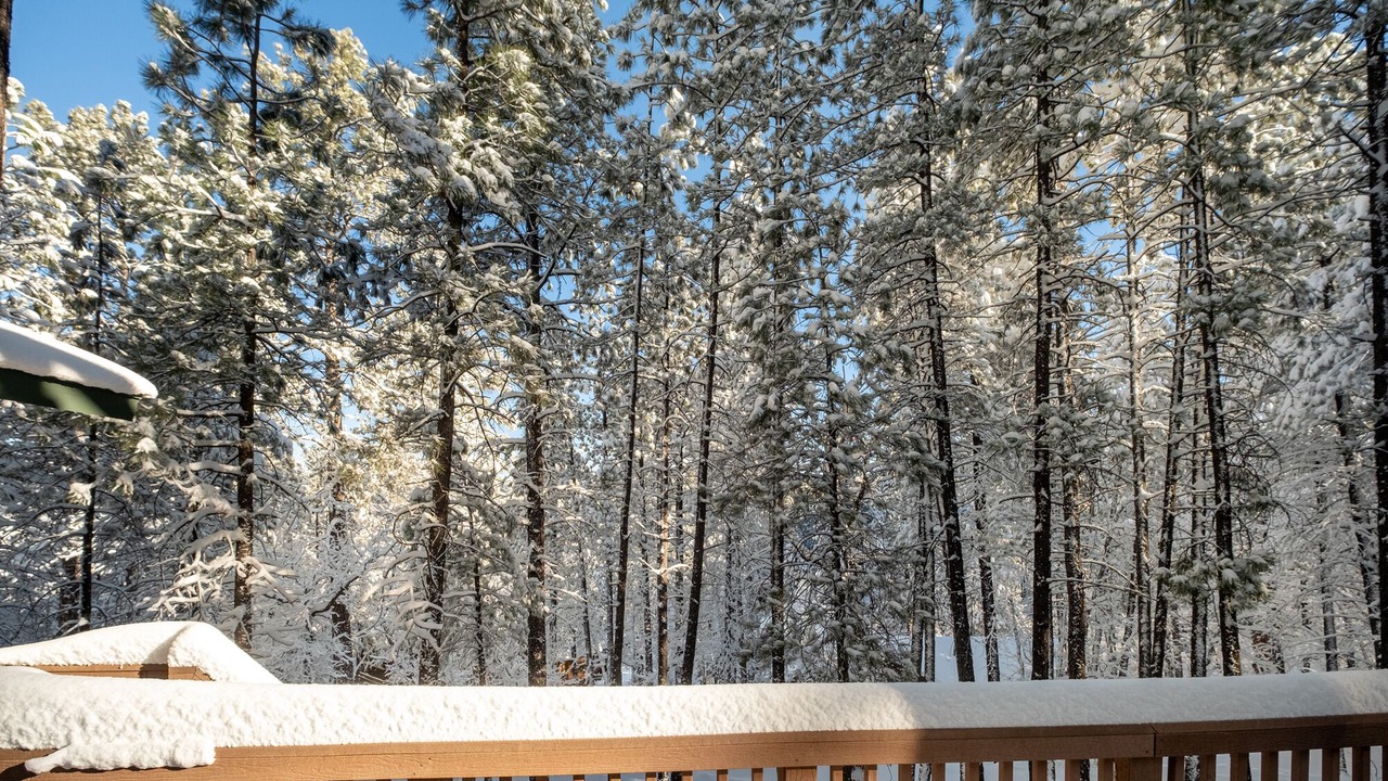 Photo of Outdoor in Munds Park