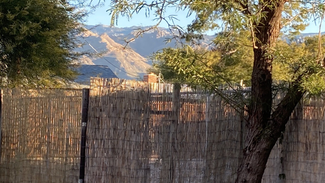 Photo of Others in Tucson