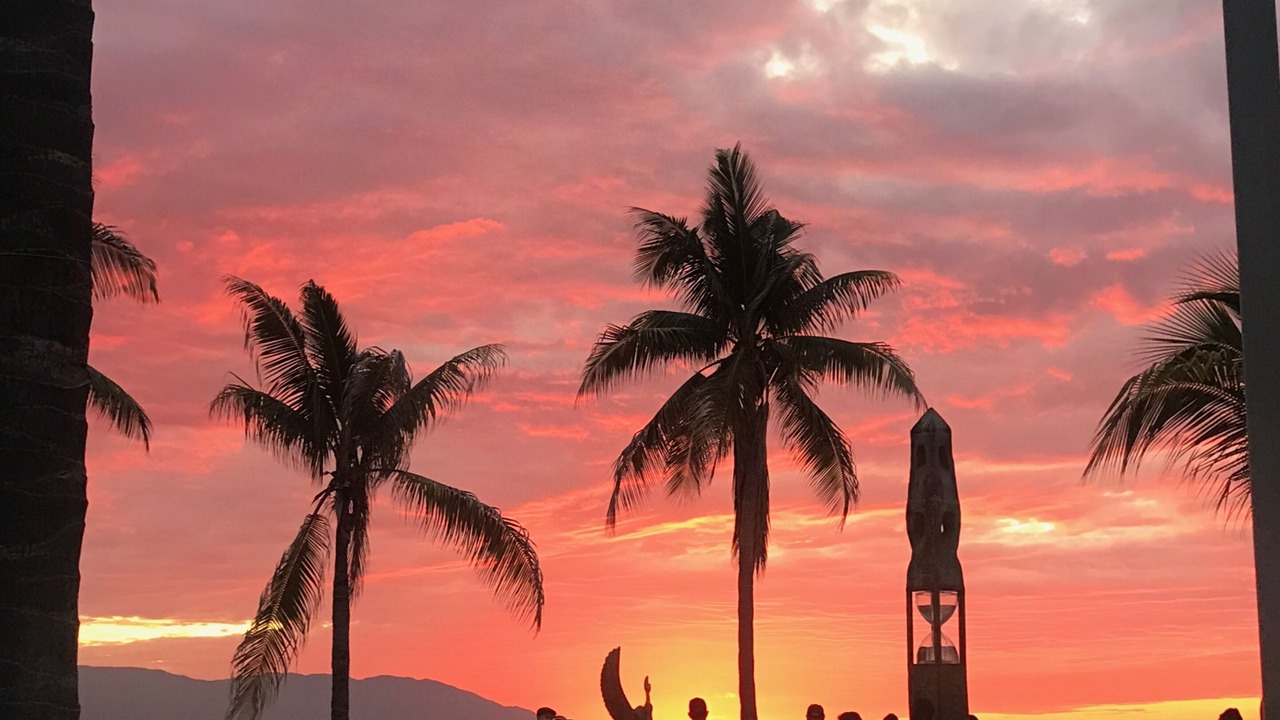 Photo of Others in Marina Vallarta