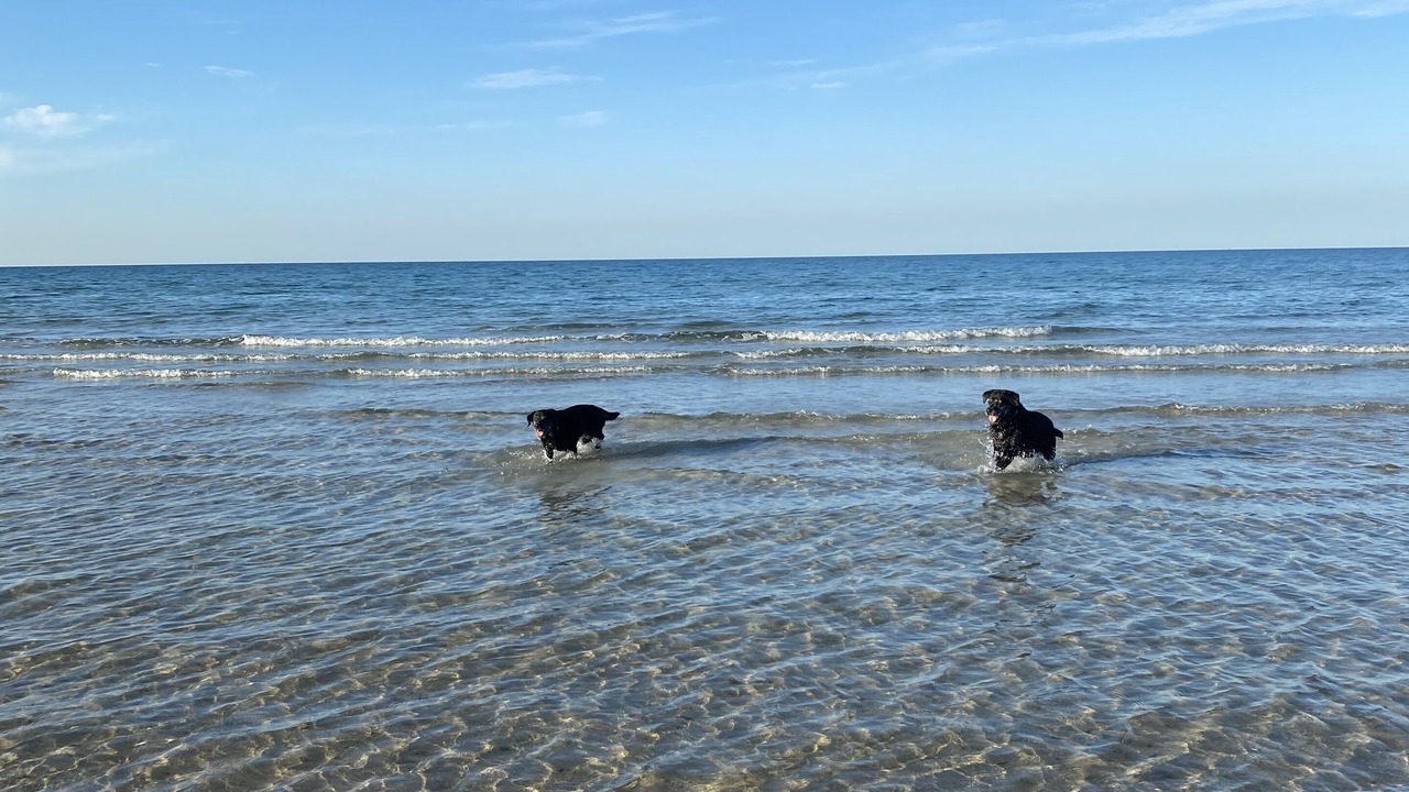 Photo of Others in Puerto Penasco