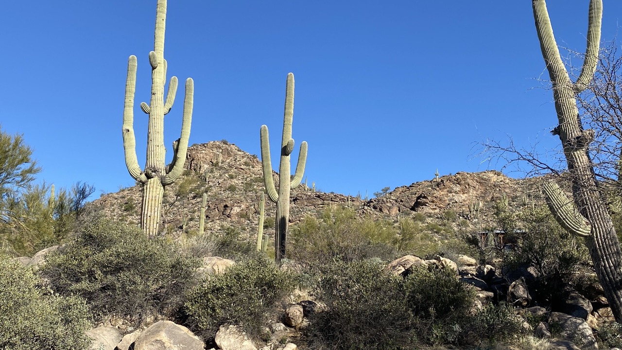 Photo of Outdoor in Tucson