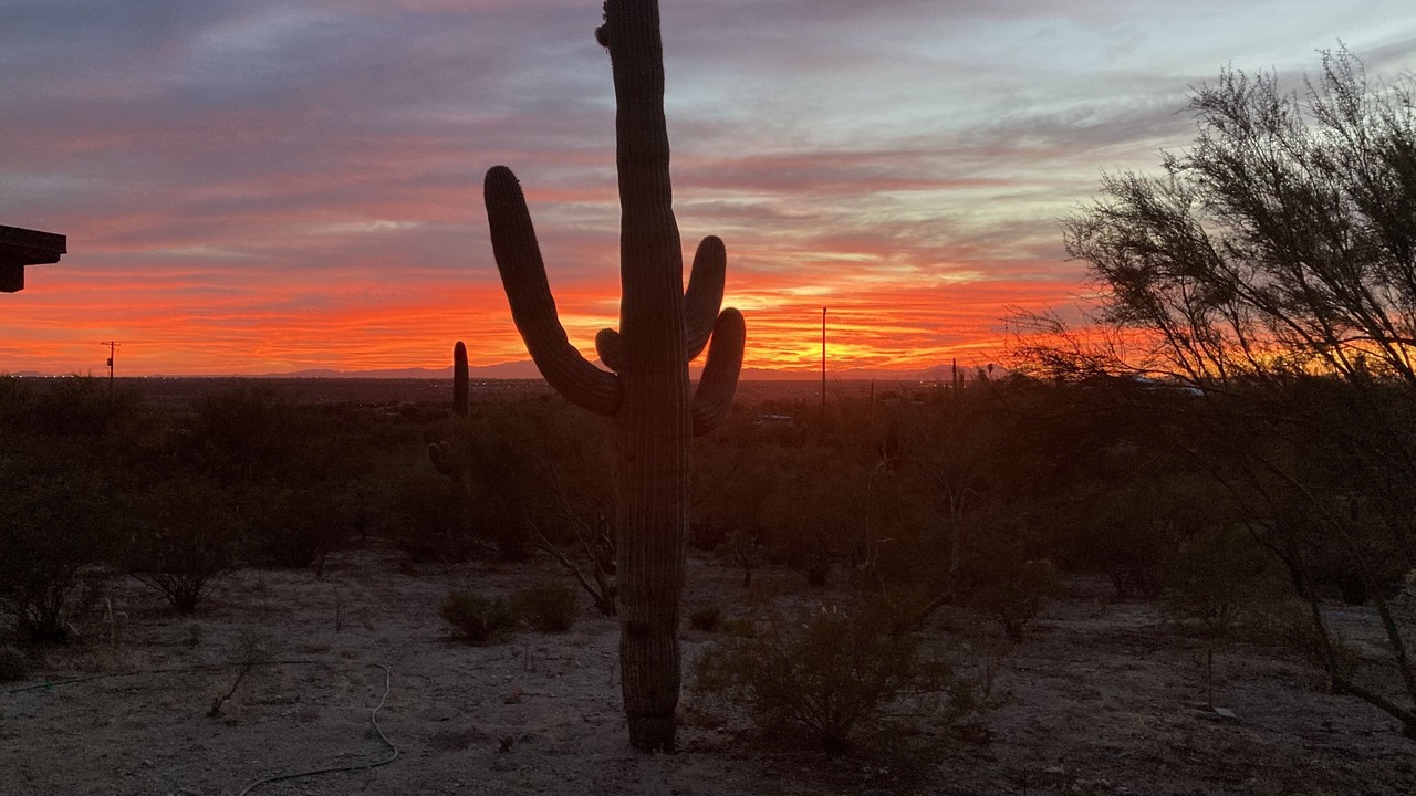 Photo of Others in Tucson