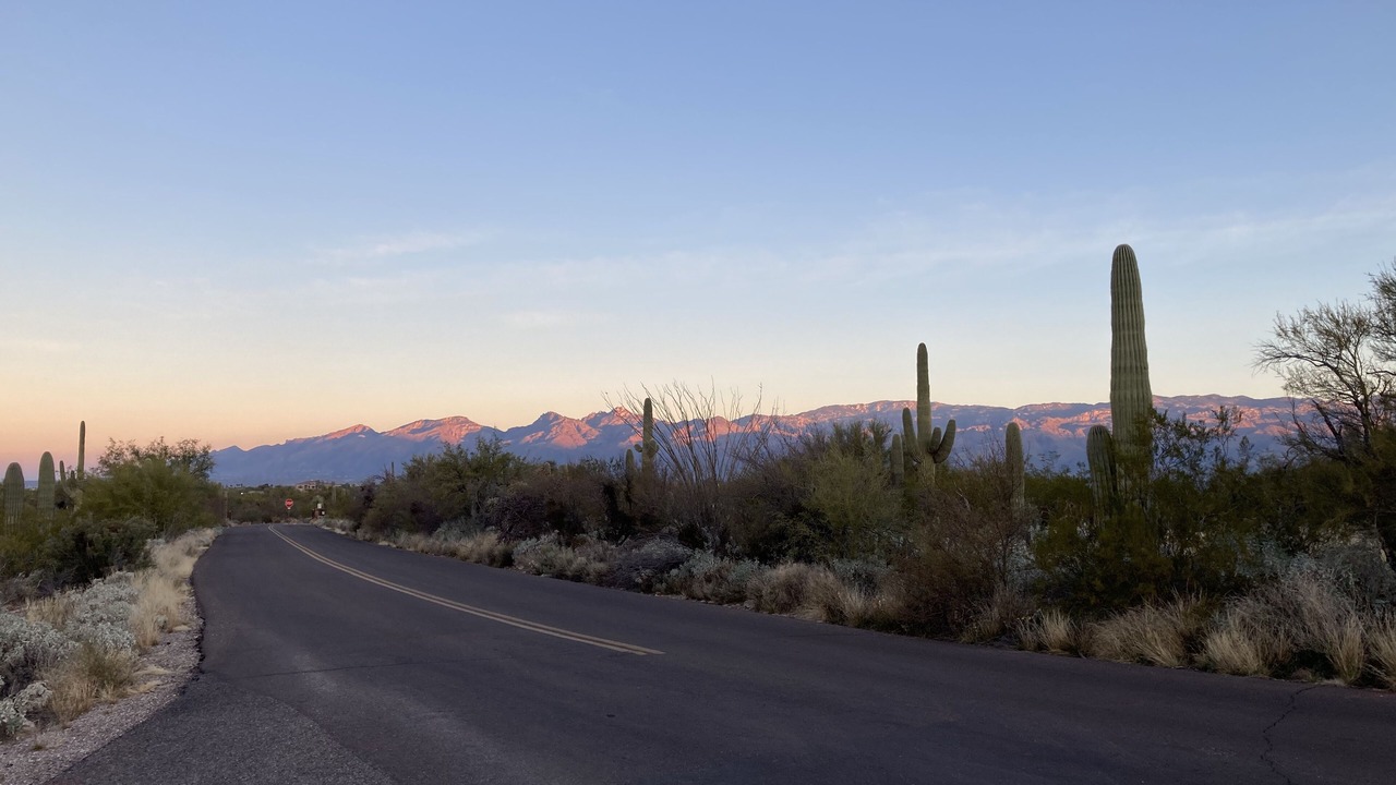 Photo of Others in Tucson