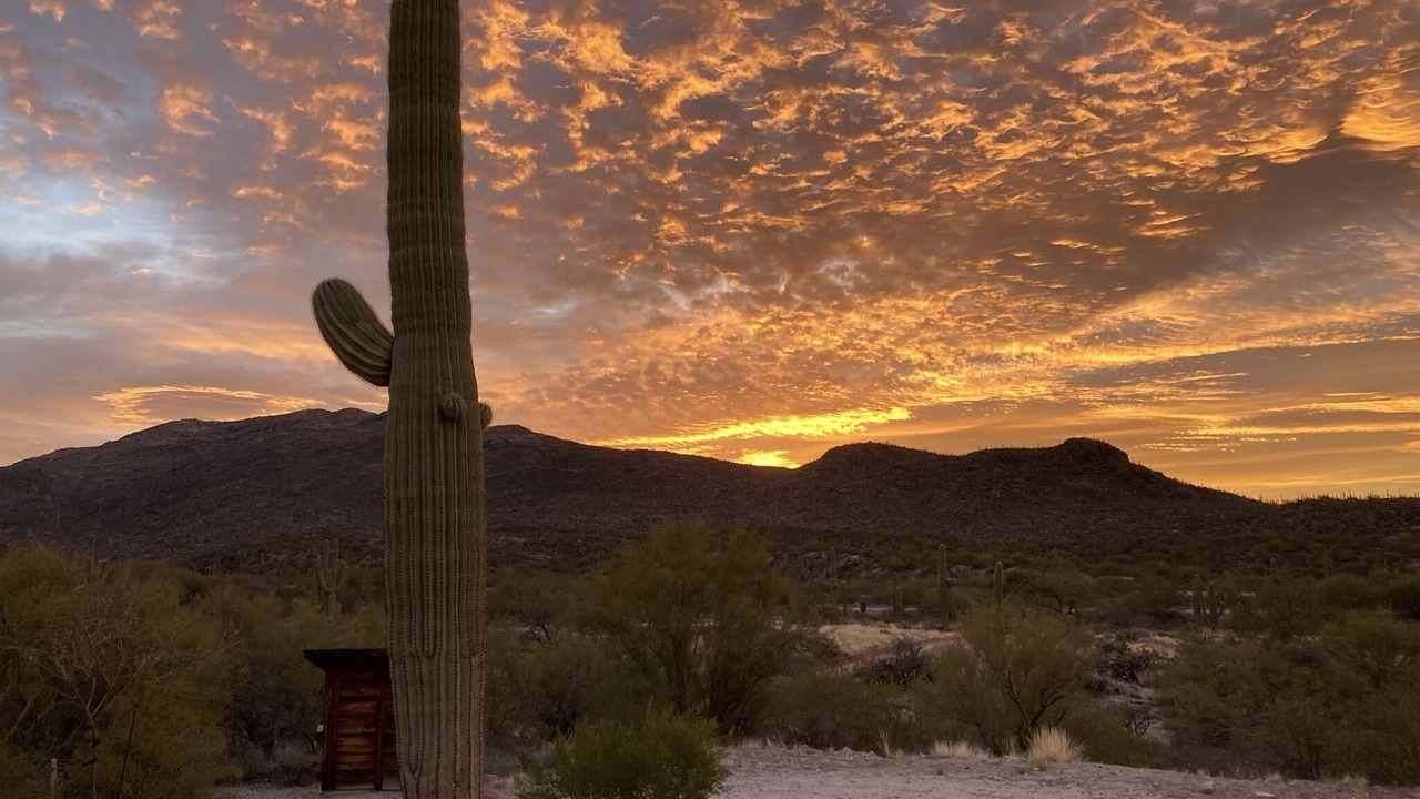 Photo of Others in Tucson