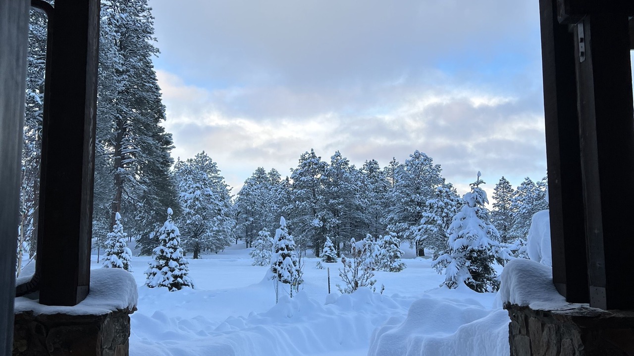 Photo of Others in Flagstaff