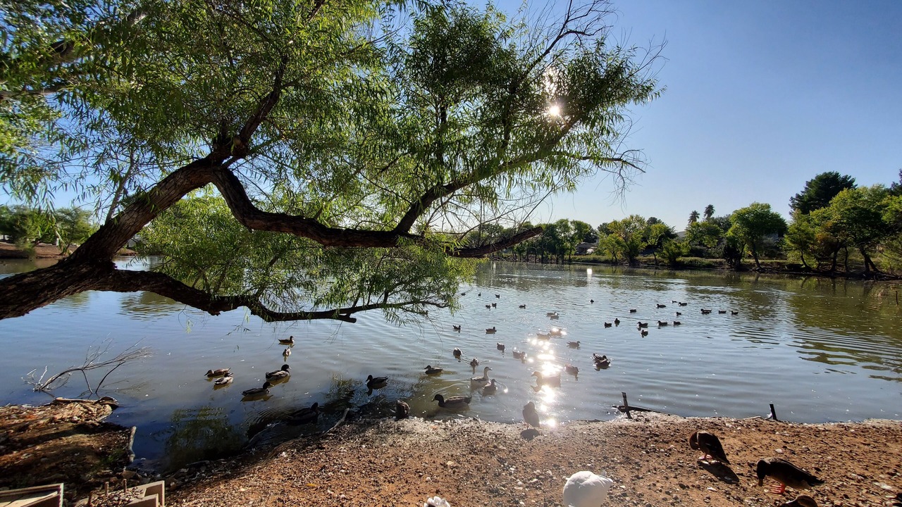 Photo of Others in Cottonwood-Verde Village