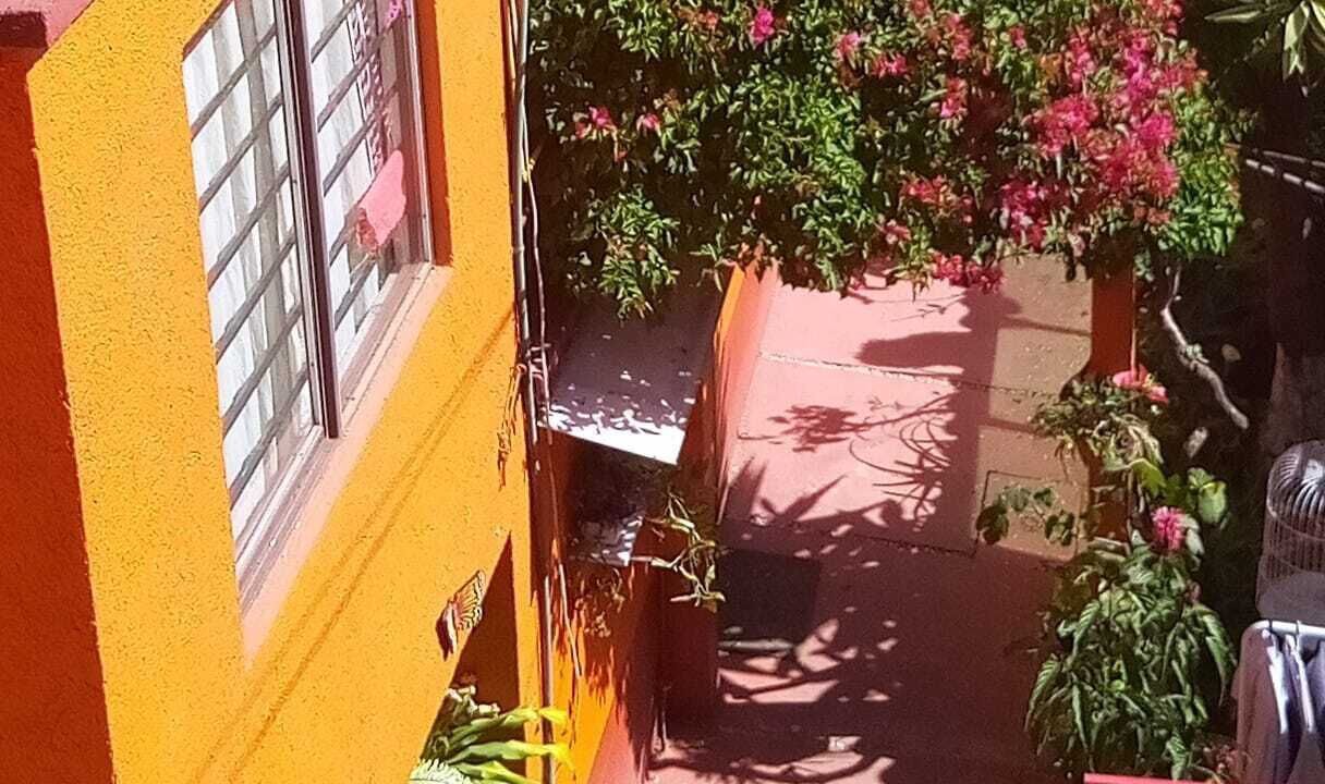 Photo of Outdoor in Santa Catarina