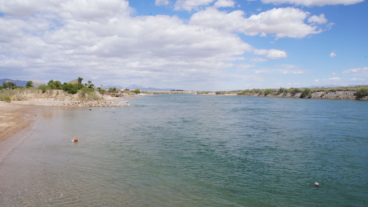 Photo of Others in Mohave Valley