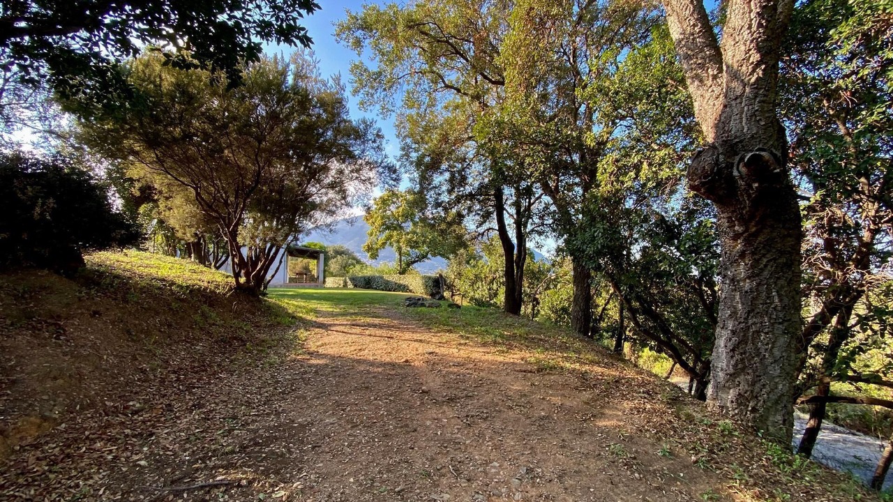 Photo of Outdoor in Cervione
