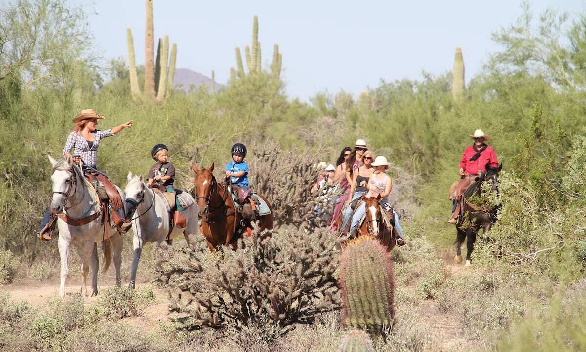 Photo of Others in Scottsdale Estates Six