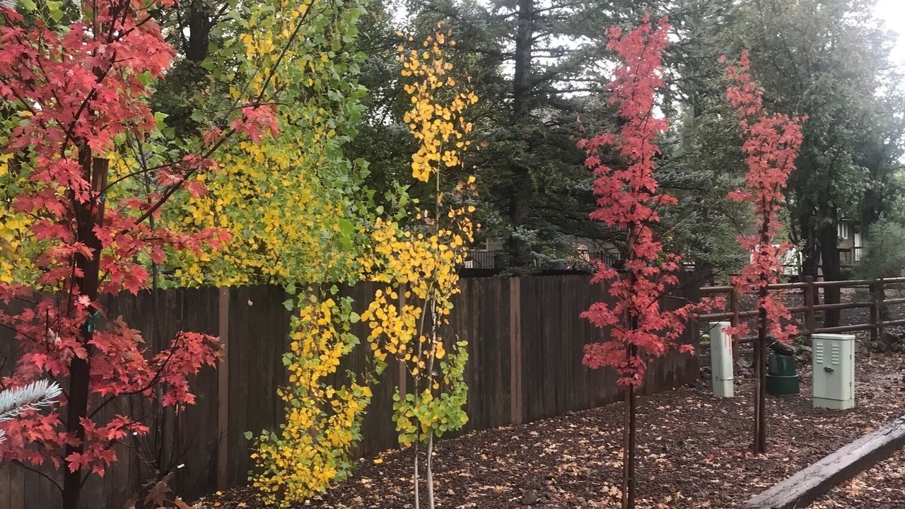 Photo of Outdoor in Pinetop