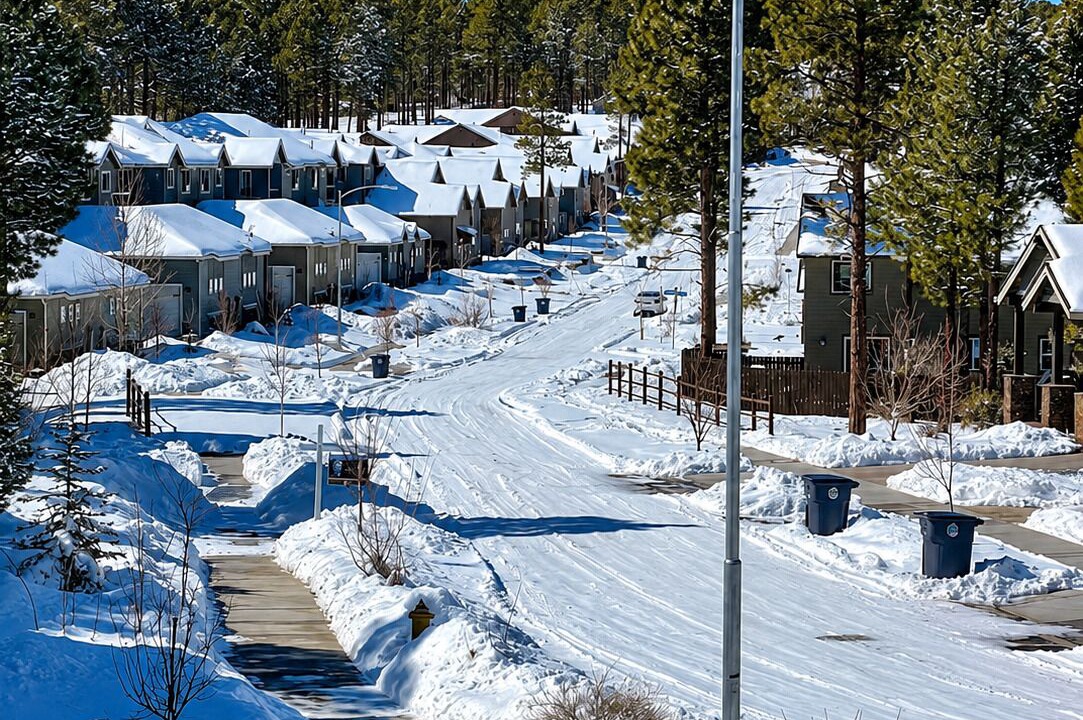 Photo of Others in Flagstaff