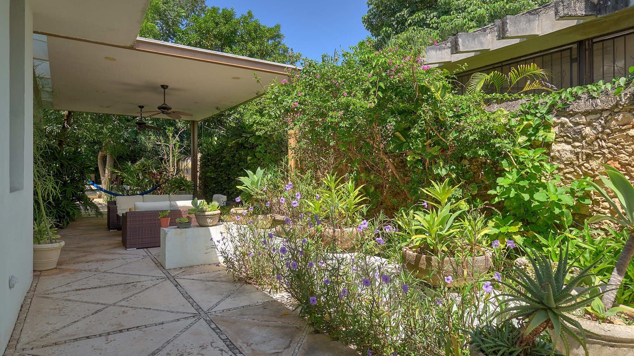 Photo of Outdoor in Centro