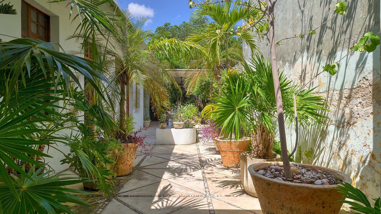 Photo of Outdoor in Centro