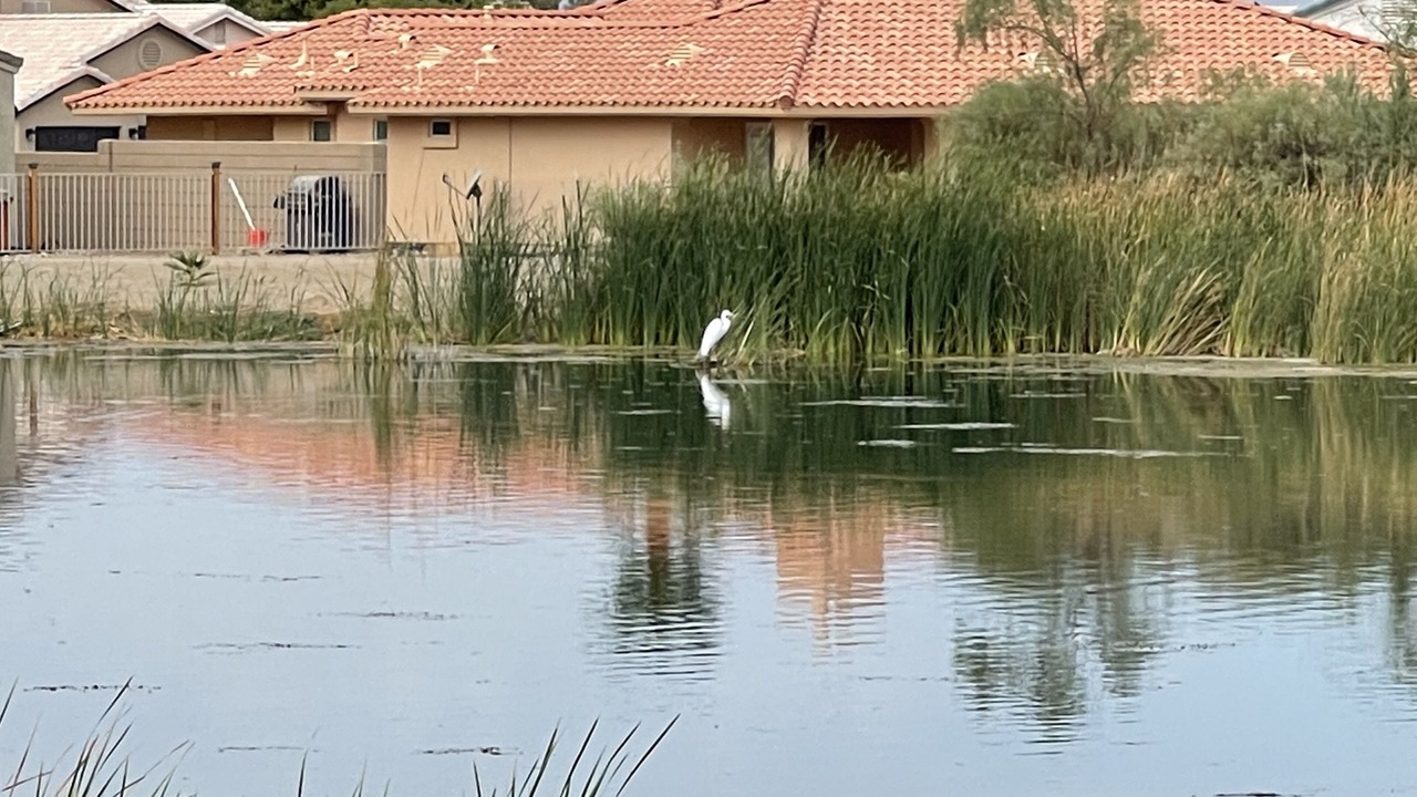 Photo of Outdoor in Fort Mohave