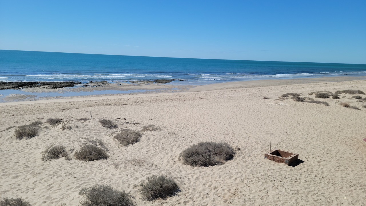 Photo of Others in Puerto Penasco