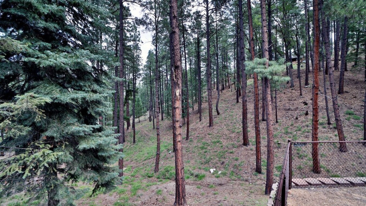 Photo of Outdoor in Prescott
