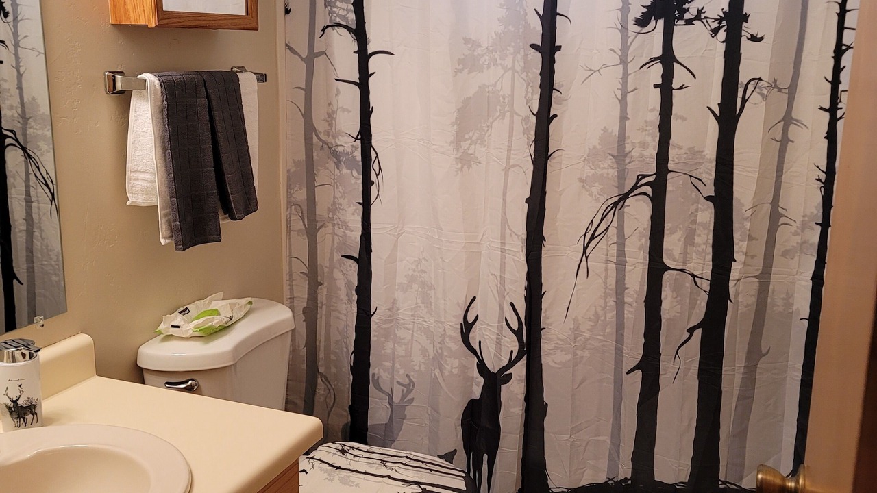 Photo of Bathroom in Payson