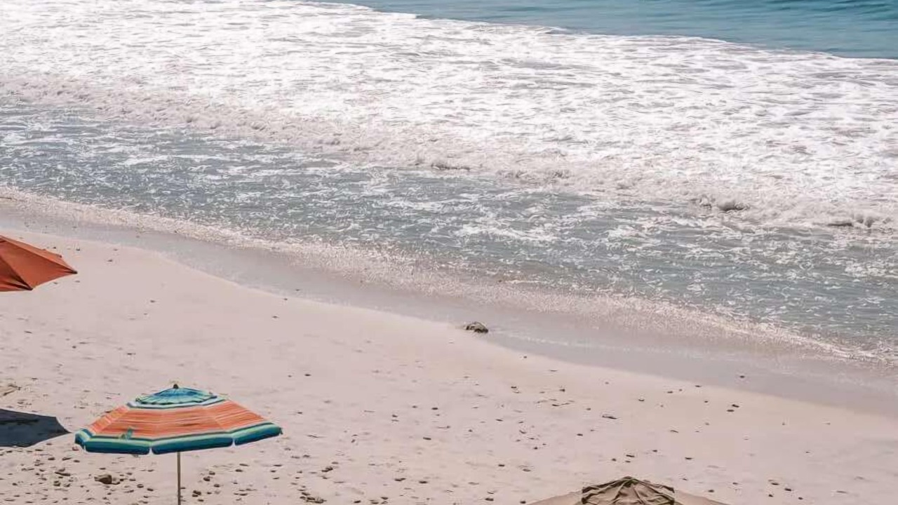 Photo of Others in Punta de Mita