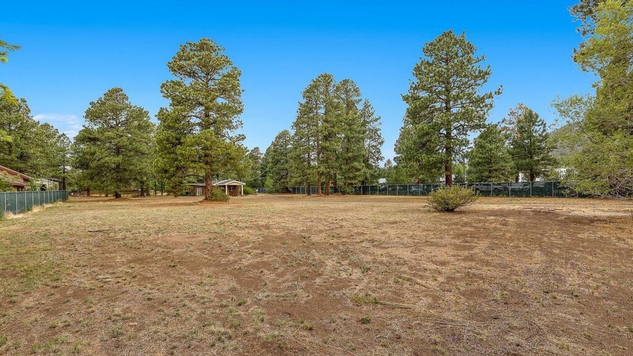 Photo of Outdoor in Flagstaff