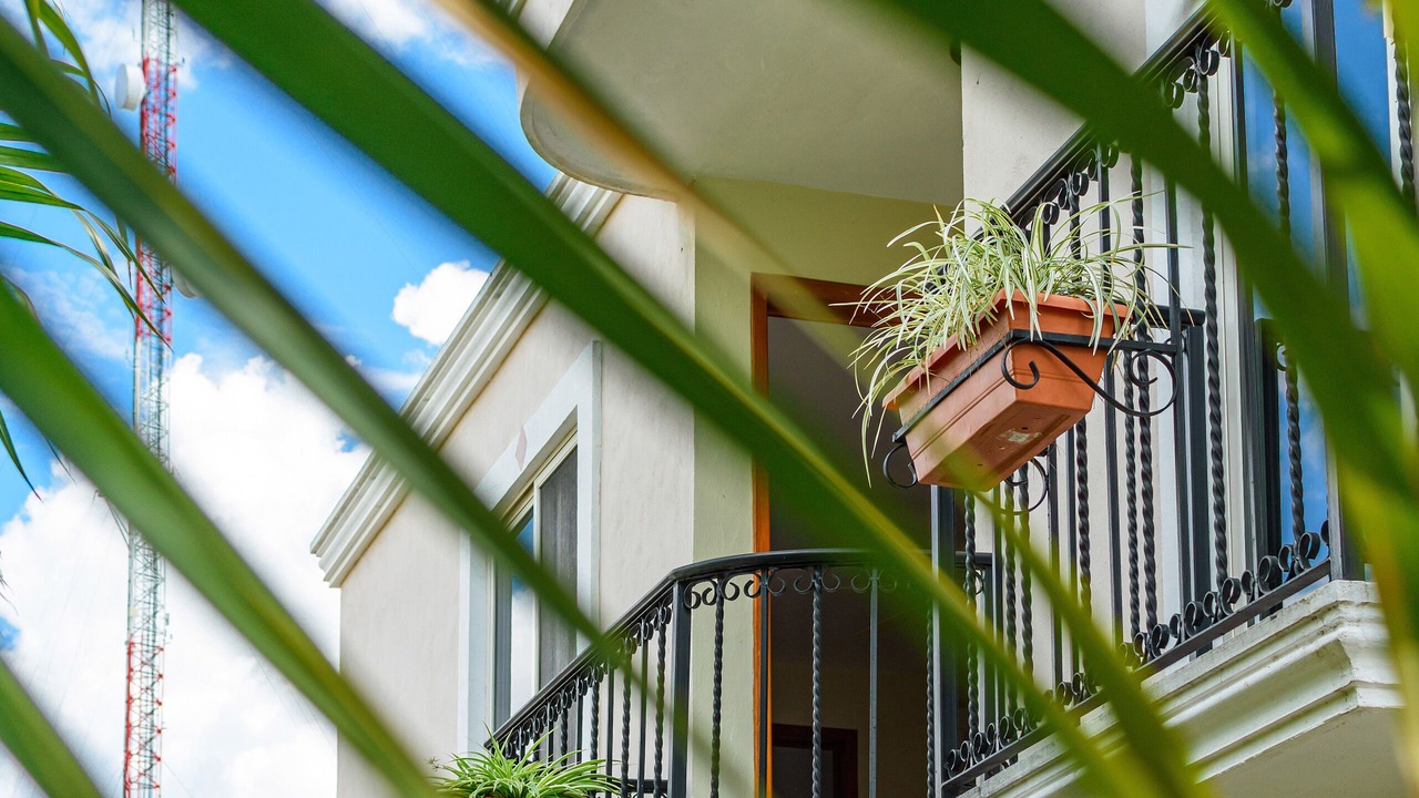 Photo of Outdoor in Centro