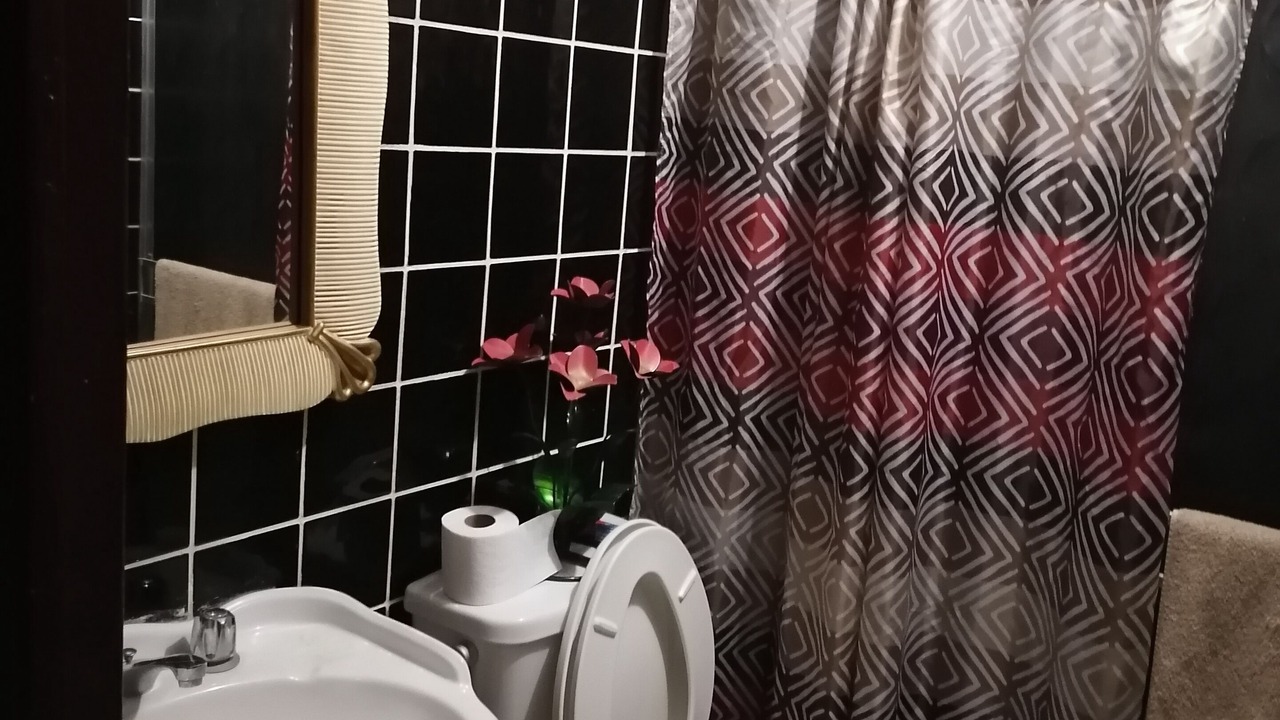 Photo of Bathroom in Centro