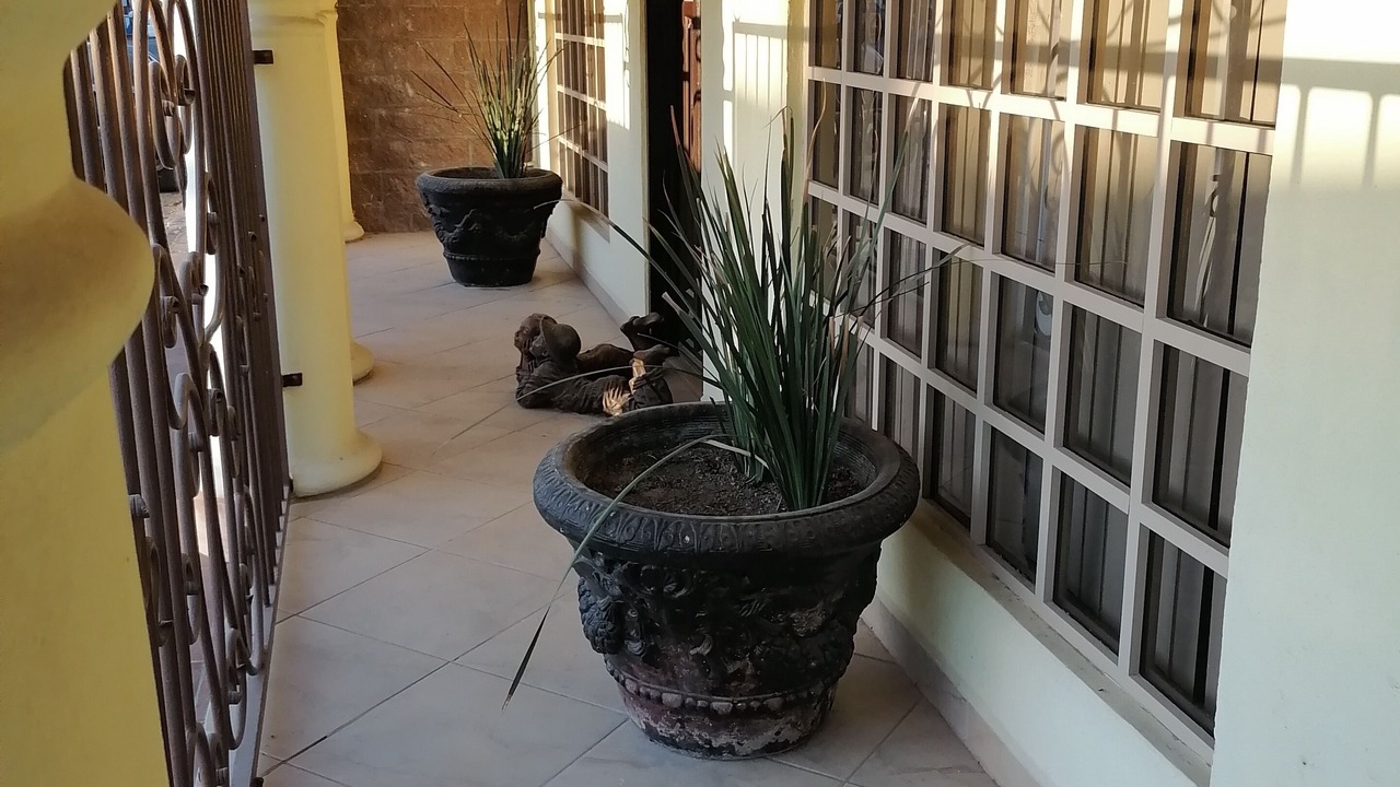 Photo of Outdoor in Centro