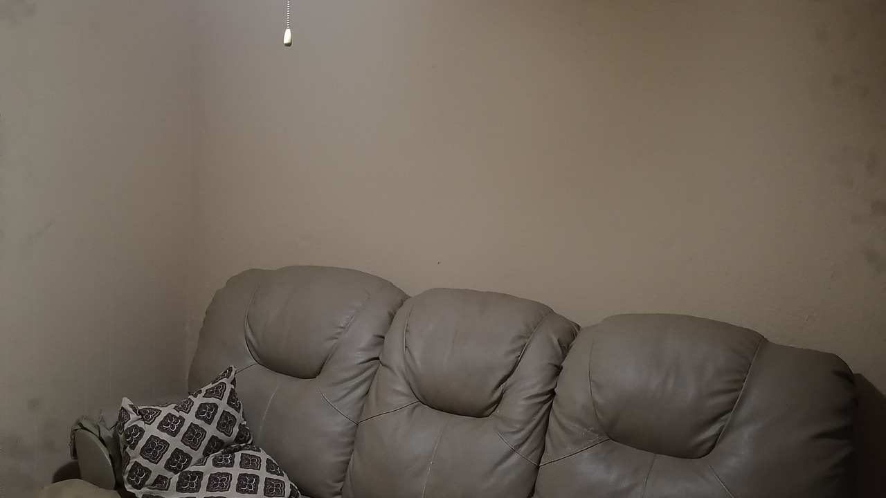 Photo of Livingroom in Centro