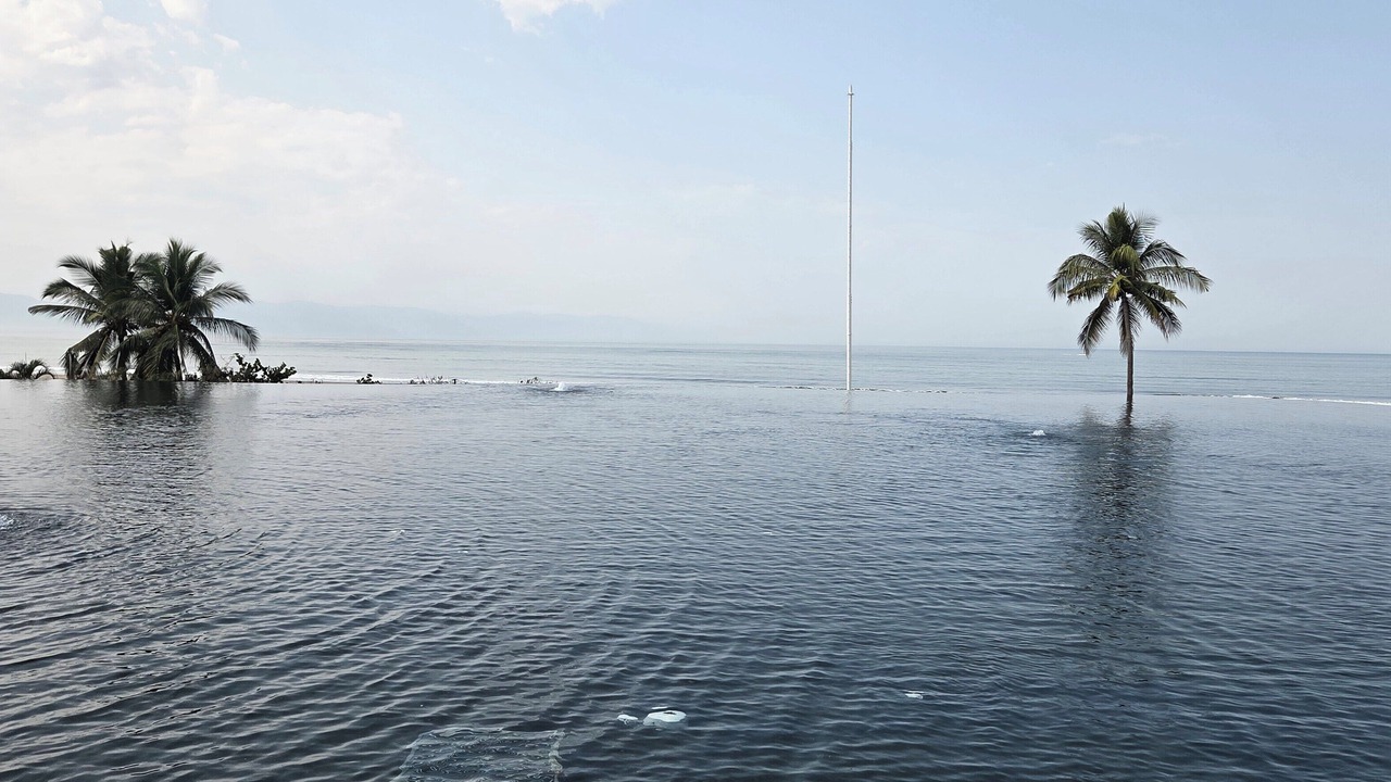 Photo of Others in Nuevo Vallarta