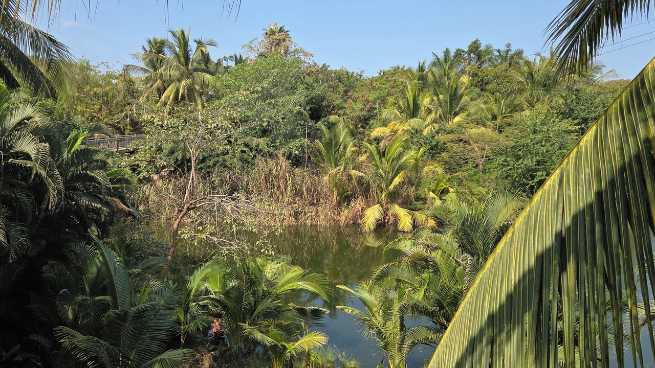 Photo of Others in Nuevo Vallarta