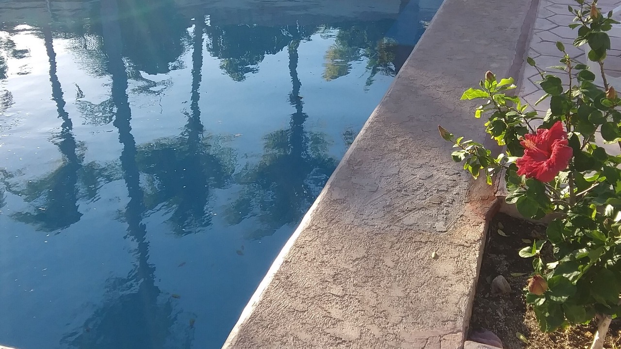 Photo of Outdoor in Loreto