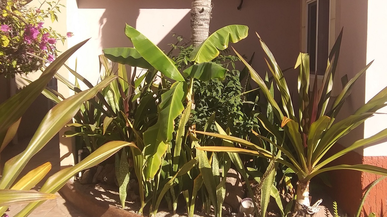 Photo of Outdoor in Loreto