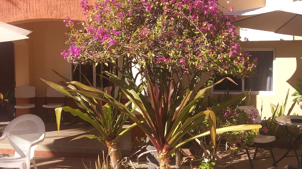Photo of Patio Balcony in Loreto