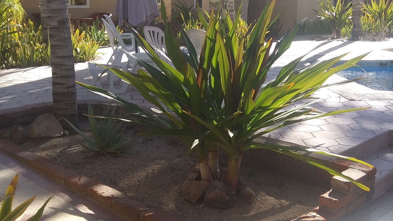 Photo of Patio Balcony in Loreto
