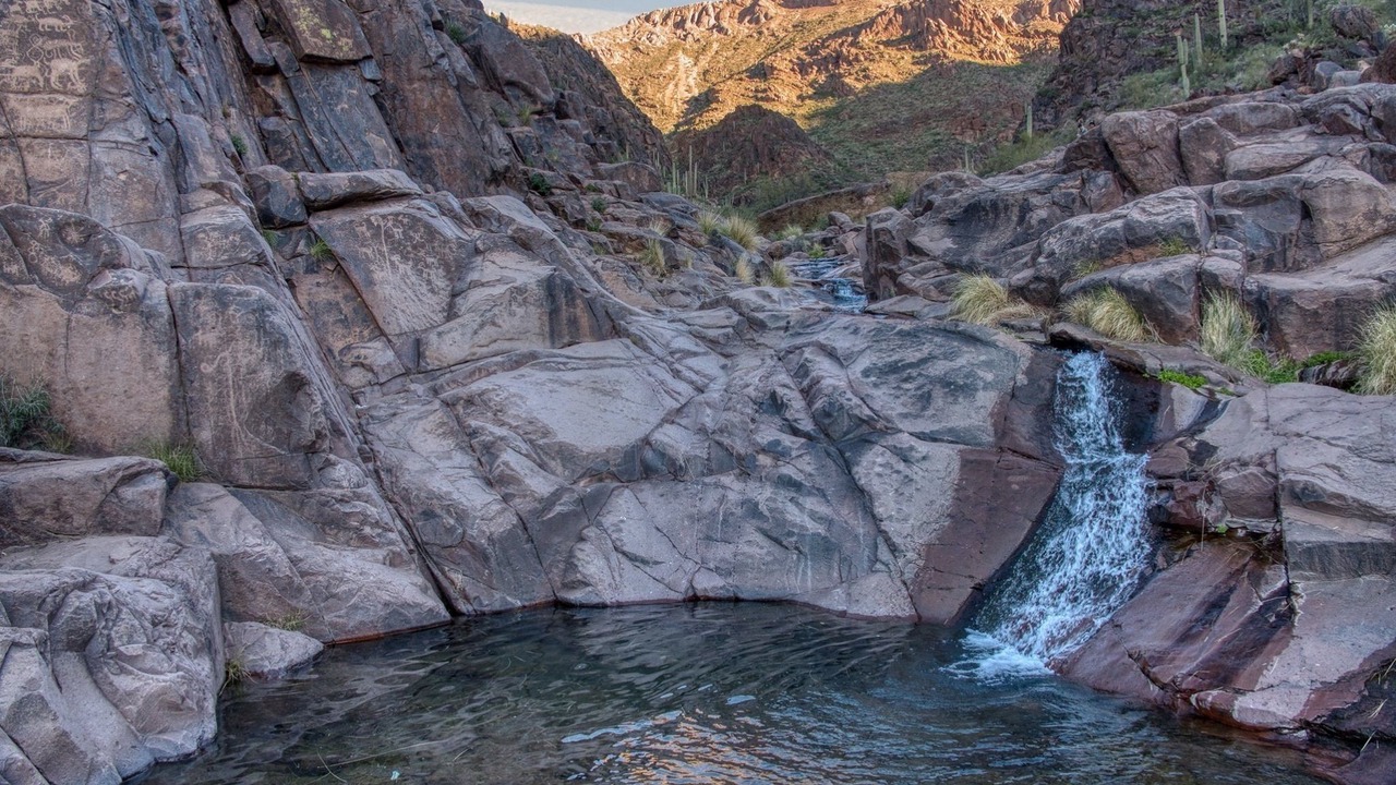 Photo of Others in Gold Canyon