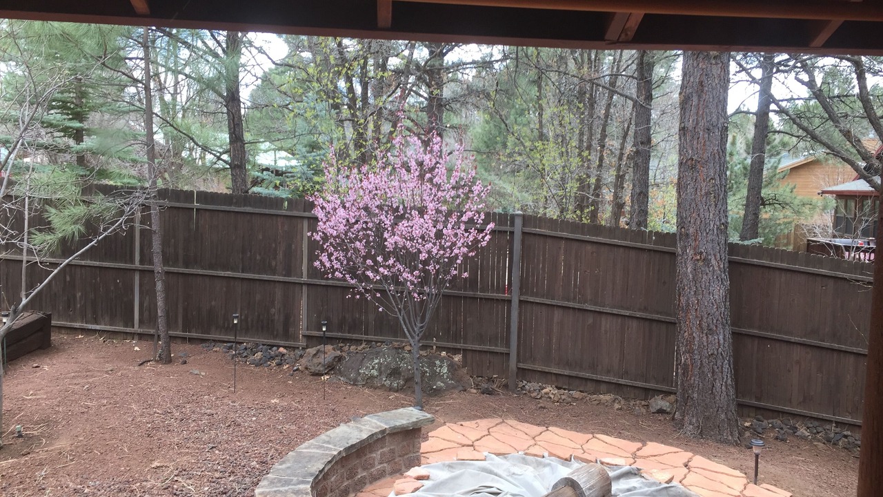 Photo of Outdoor in Pinetop