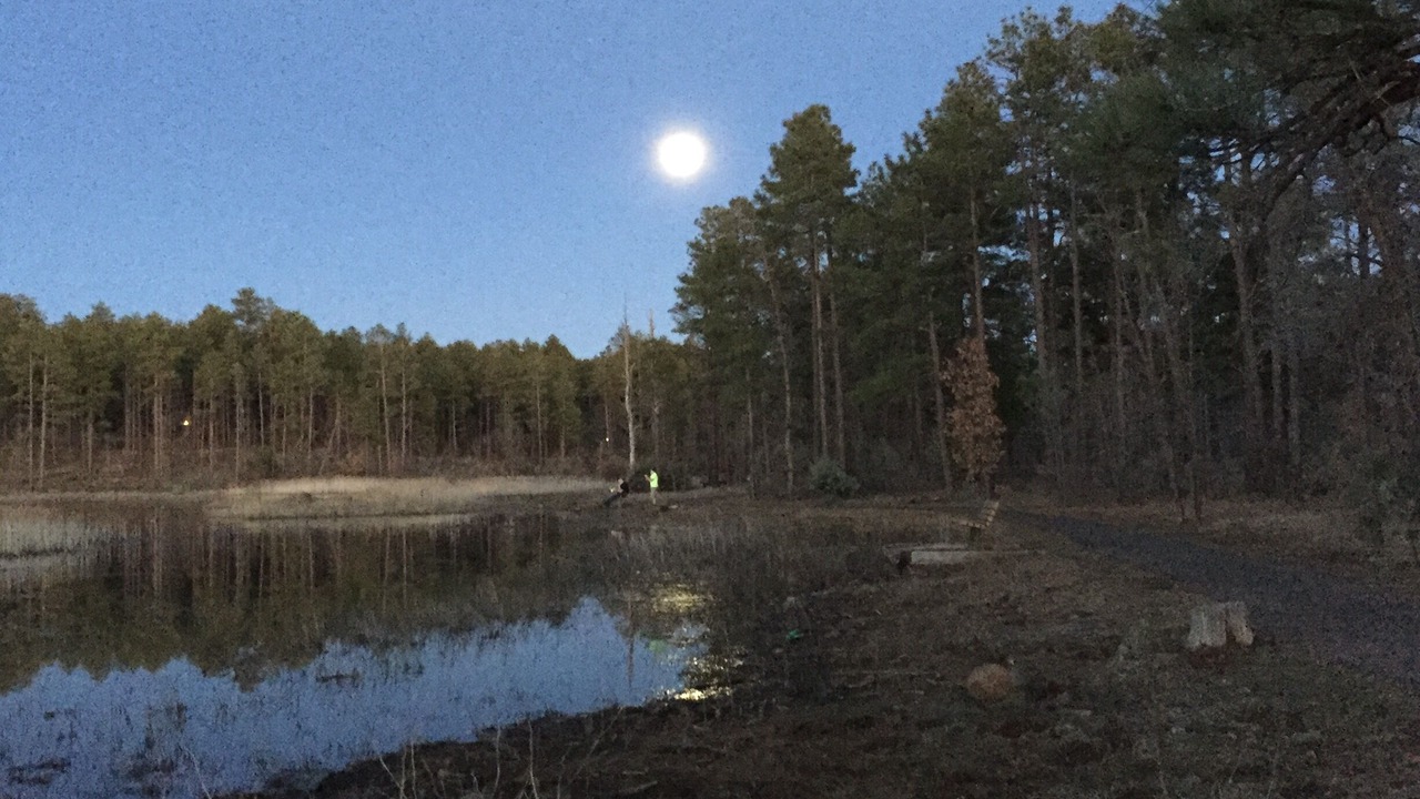 Photo of Others in Pinetop
