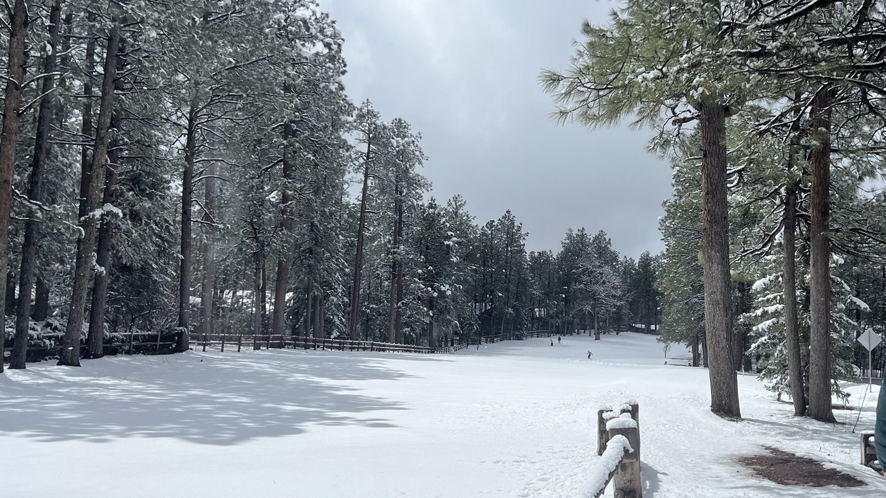 Photo of Others in Pinetop