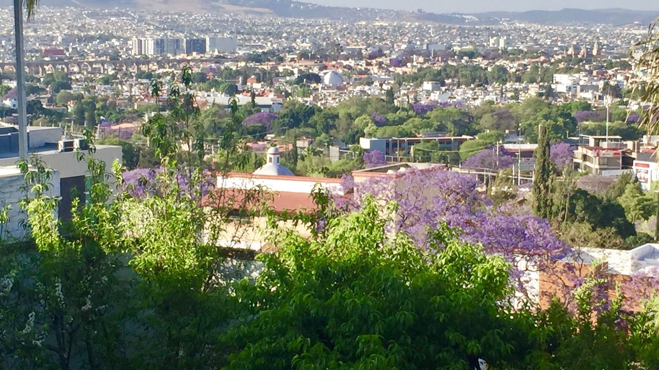 Photo of Others in Queretaro