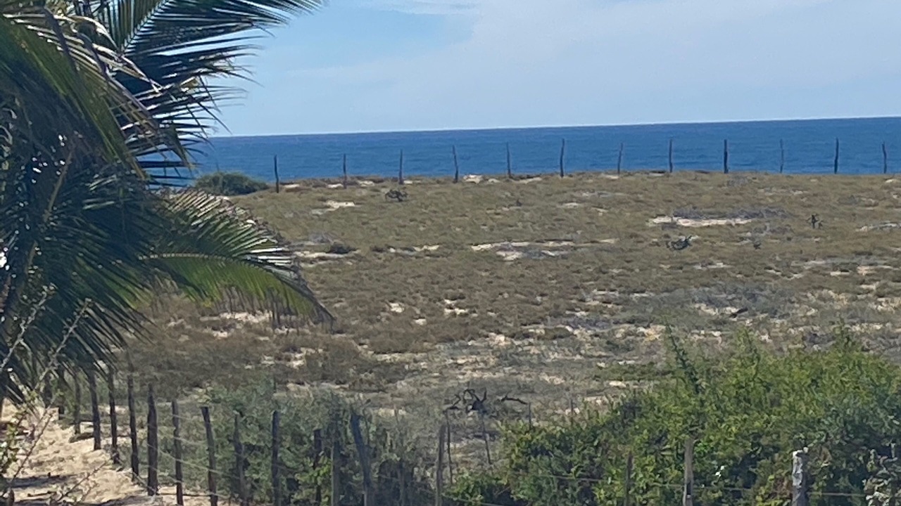 Photo of Others in Todos Santos