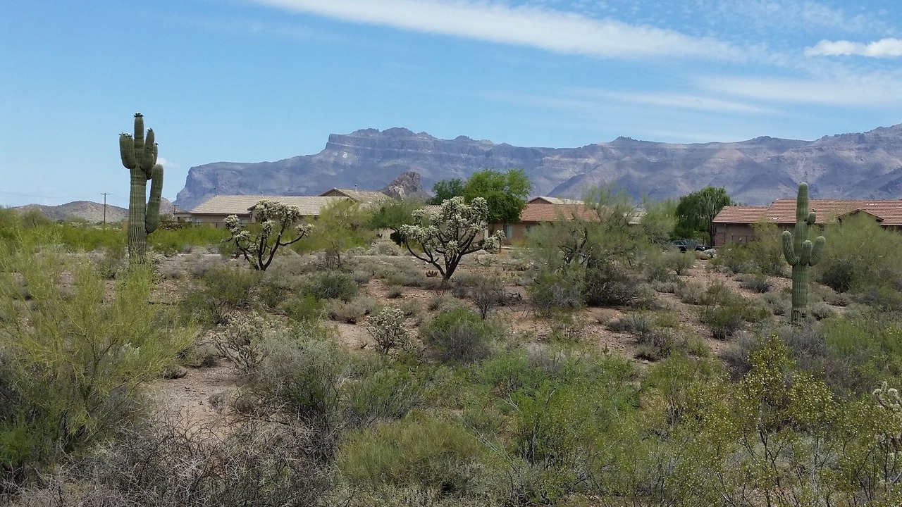 Photo of Others in Gold Canyon