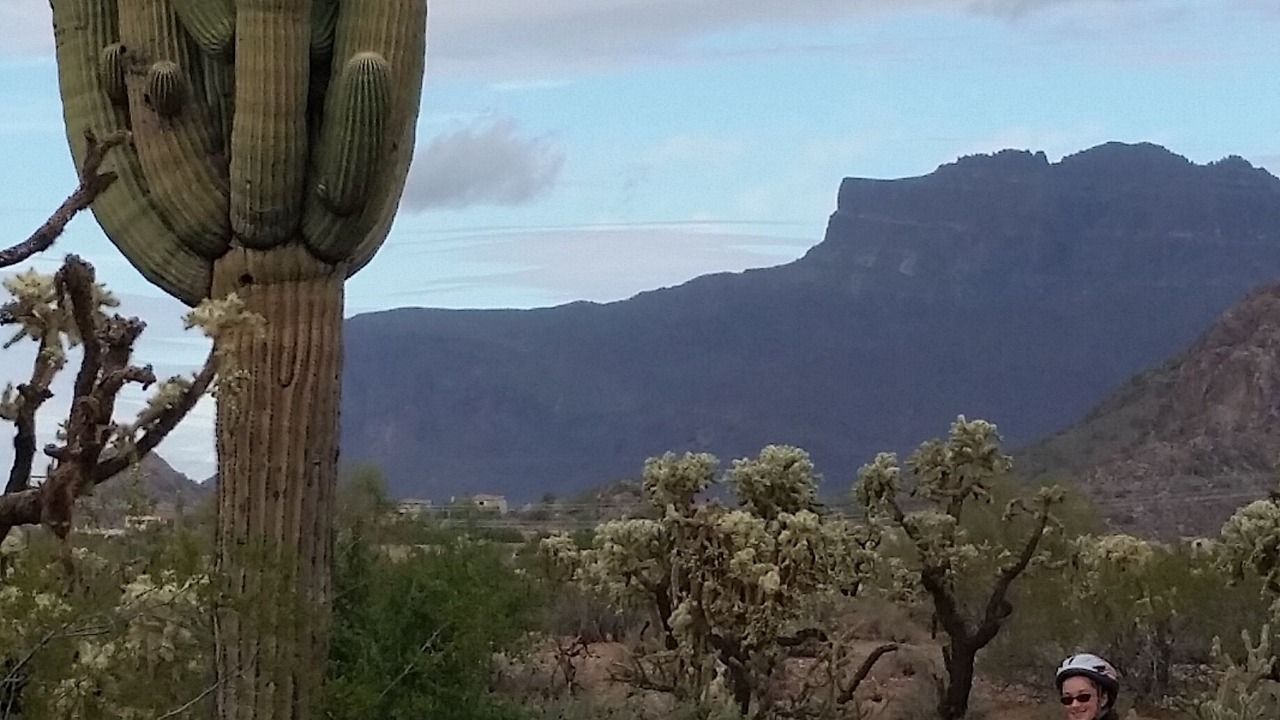 Photo of Others in Gold Canyon