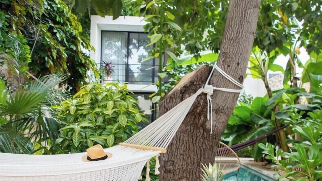 Photo of Outdoor in Centro