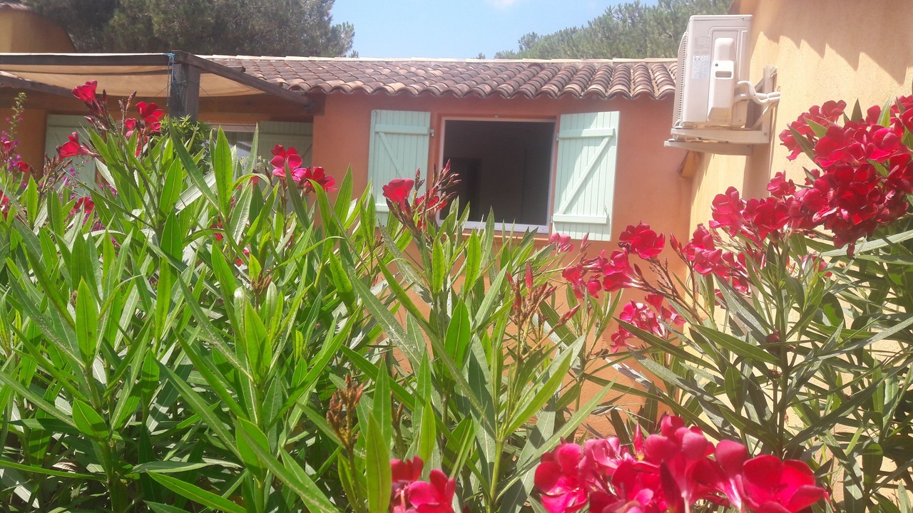 Photo of Outdoor in Hameau de Palombaggia