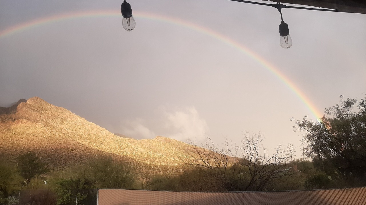Photo of Others in Rancho Catalina