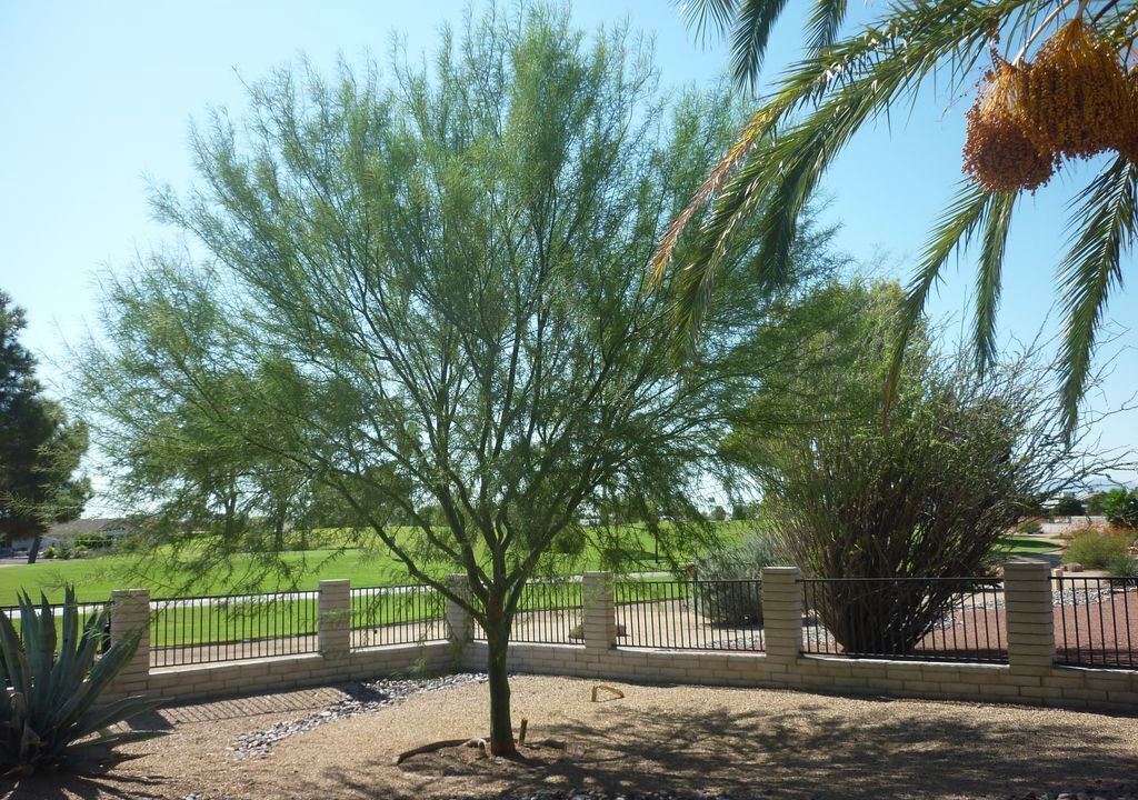 Photo of Outdoor in Sun City