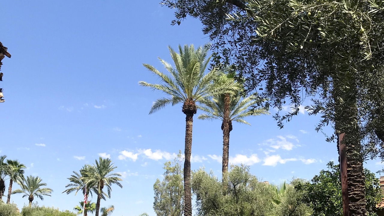 Photo of Outdoor in Paradise Valley Village