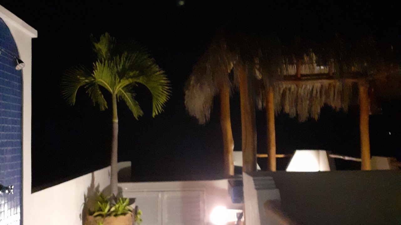 Photo of Outdoor in Downtown Puerto Vallarta